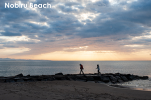 somoriyama_jan_2013_05lr