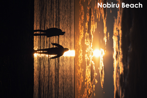 skajyo_oct_2009_16lr