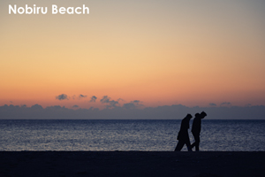 sshiroishigawa_apr_2012_08lr