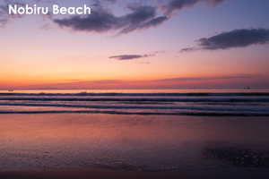 somoriyama_aug_2009_19lr