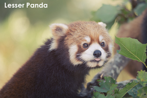 skannonjigawa_jul_2018_04lr