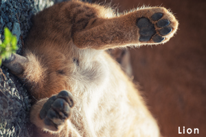 somoriyama_oct_2007_03lr