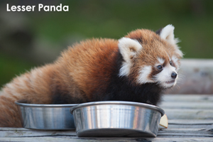 shaneda_jan_2019_01lr