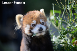 somoriyama_sep_2013_11lr