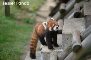 skajyo_oct_2009_16lr