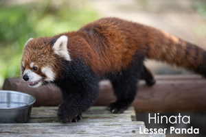 skannonjigawa_jul_2018_04lr