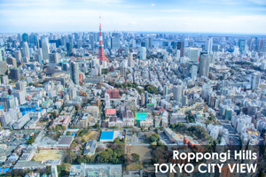 somoriyama_aug_2009_19lr