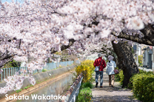 smatsushima_aug_2017_03lr