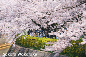 somoriyama_jul_2015_13lr