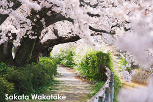 skitakami_may_2011_11lr