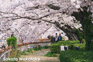 ssendai_nov_2008_06lr