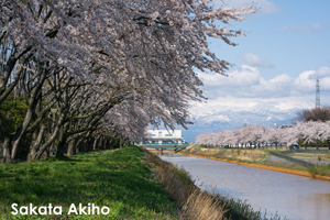 ssakata_apr_2020_01@1x