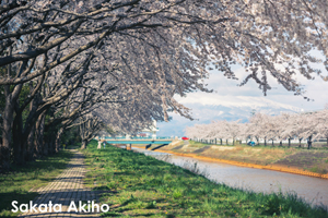 ssakata_apr_2020_02@1x