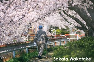 ssakata_apr_2020_04@1x