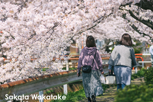 ssakata_apr_2020_06@1x