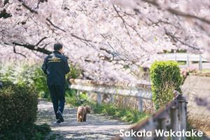 somoriyama_aug_2009_19lr