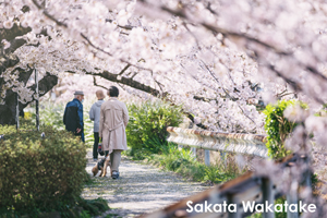 somoriyama_jan_2013_05lr