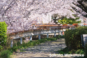 somoriyama_jul_2015_10lr