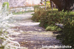 skitakami_may_2011_11lr