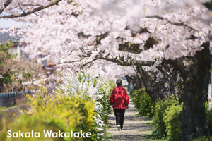 somoriyama_sep_2013_11lr