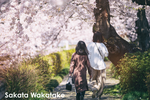 somoriyama_jul_2015_13lr