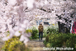 ssendai_nov_2008_06lr