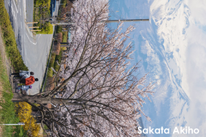 somoriyama_aug_2009_06lr