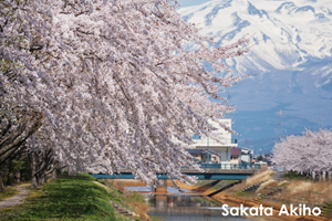 skajyo_may_2009_07lr