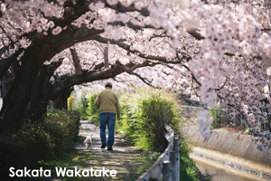 sshiroishigawa_apr_2018_08lr