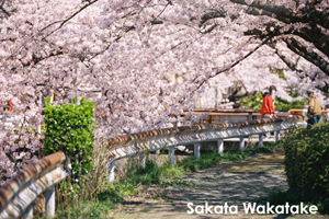 somoriyama_sep_2013_11lr