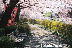 somoriyama_jul_2015_13lr