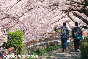 sshiroishigawa_apr_2012_08lr