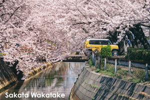 skitakami_may_2011_11lr