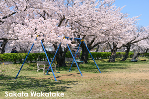 ssendai_nov_2008_06lr