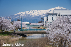somoriyama_jan_2013_05lr