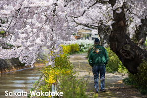 sshiroishigawa_apr_2012_08lr