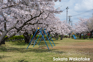 ssendai_nov_2008_06lr