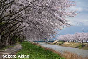 skajyo_may_2009_07lr