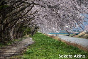 somoriyama_aug_2009_06lr