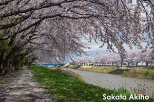 skajyo_oct_2009_16lr