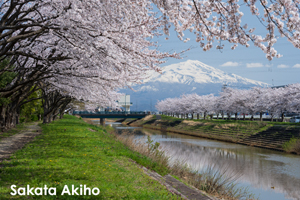 sshiroishigawa_apr_2012_08lr