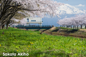 sshiroishigawa_apr_2018_08lr