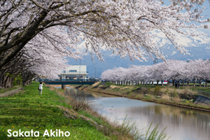 ssendai_nov_2008_06lr