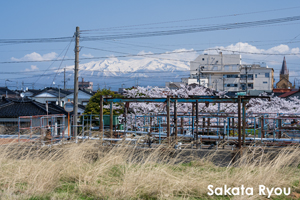 somoriyama_sep_2013_11lr
