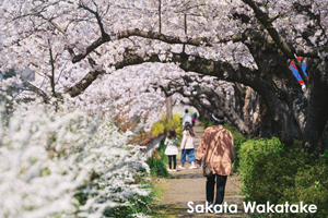 somoriyama_aug_2009_19lr