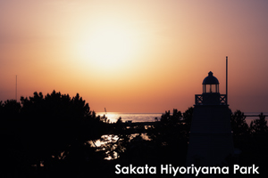 somoriyama_aug_2009_19lr