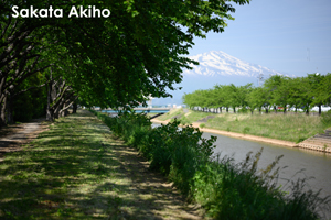 somoriyama_aug_2009_19lr