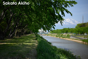 somoriyama_sep_2013_11lr