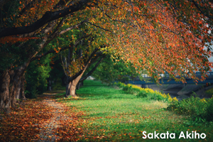 sshiroishigawa_apr_2012_08lr