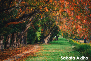 skitakami_may_2011_11lr